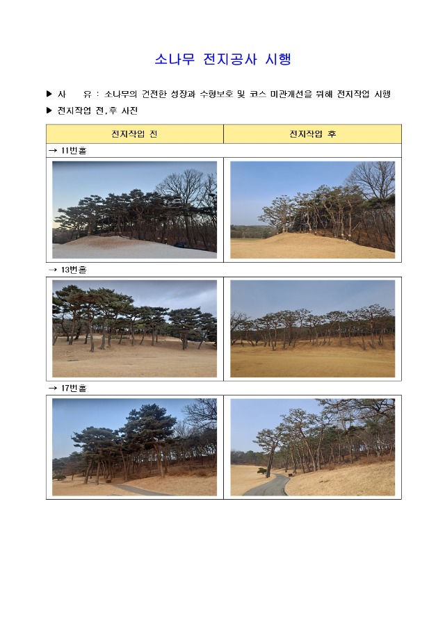 소나무 전지공사001.jpg