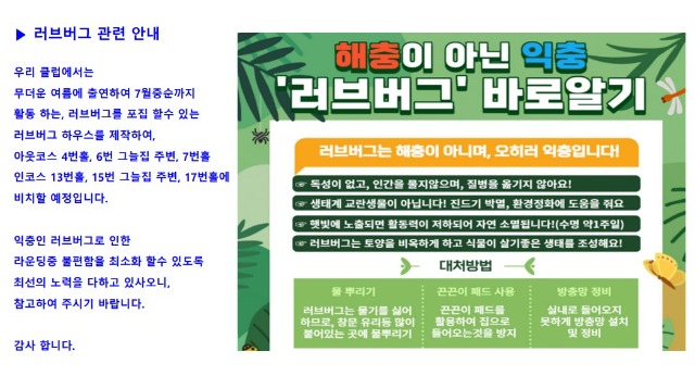 러브버그3.jpg