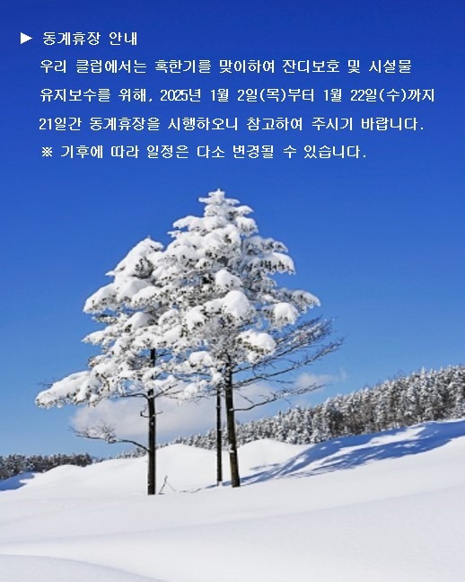 화면 캡처 2024-11-18 085405.jpg